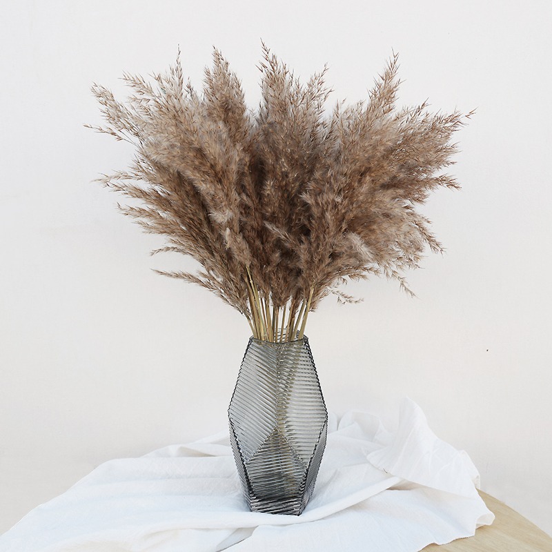 Lot de 10 roseaux naturels col - Florist Supply Vases avis et prix