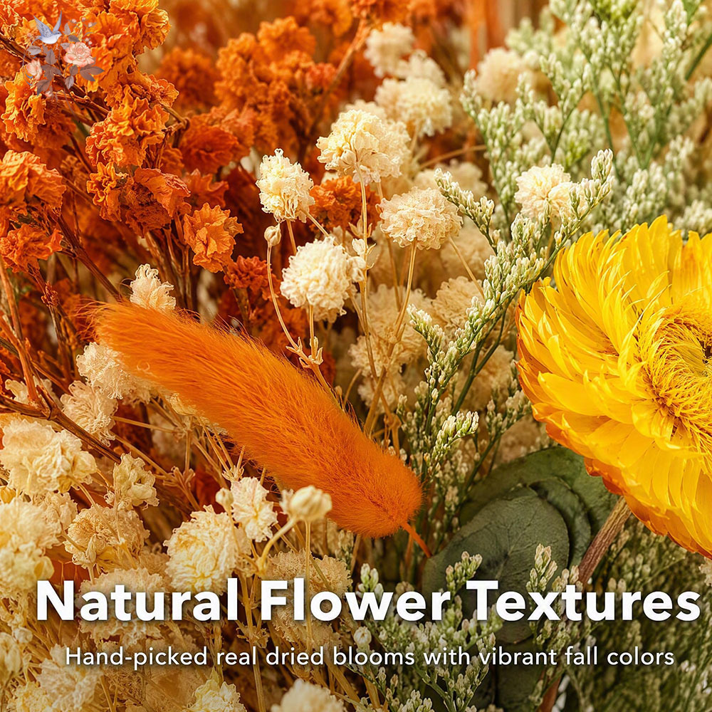 Bouquet de fleurs séchées d'au - Eucalyptus Preserved avis et prix